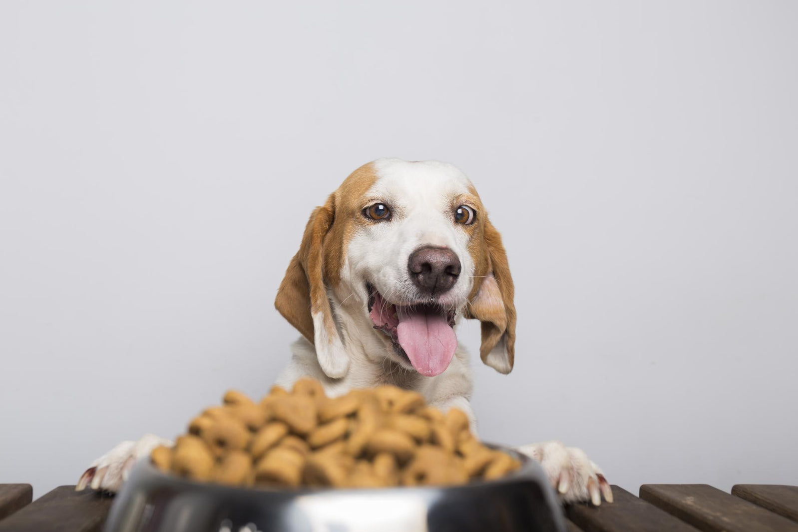 Irresistible Dog Treats: A Guide to Healthy Rewards