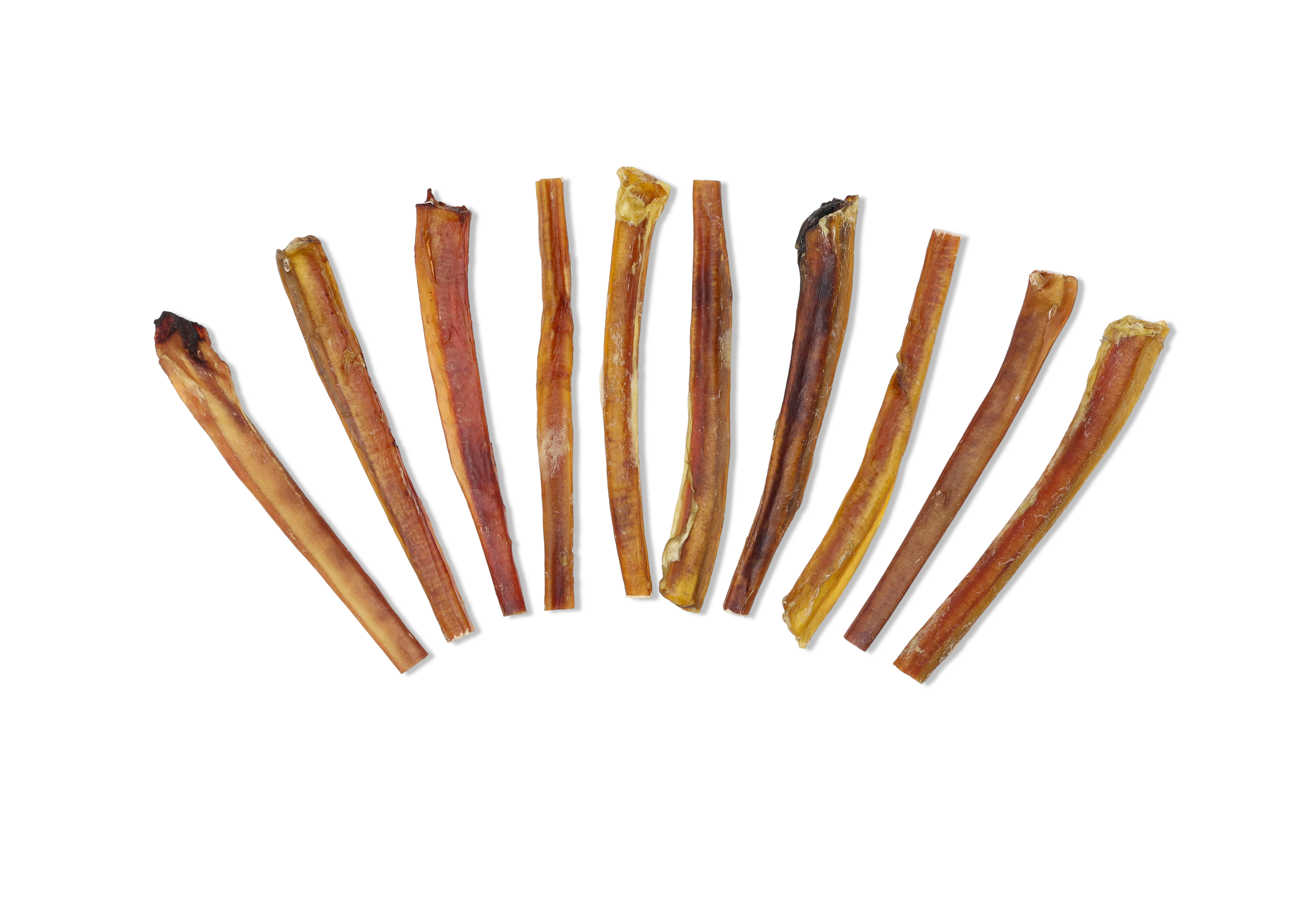 Healthy 12 inch bully stick treat Made in USA for puppies and adults