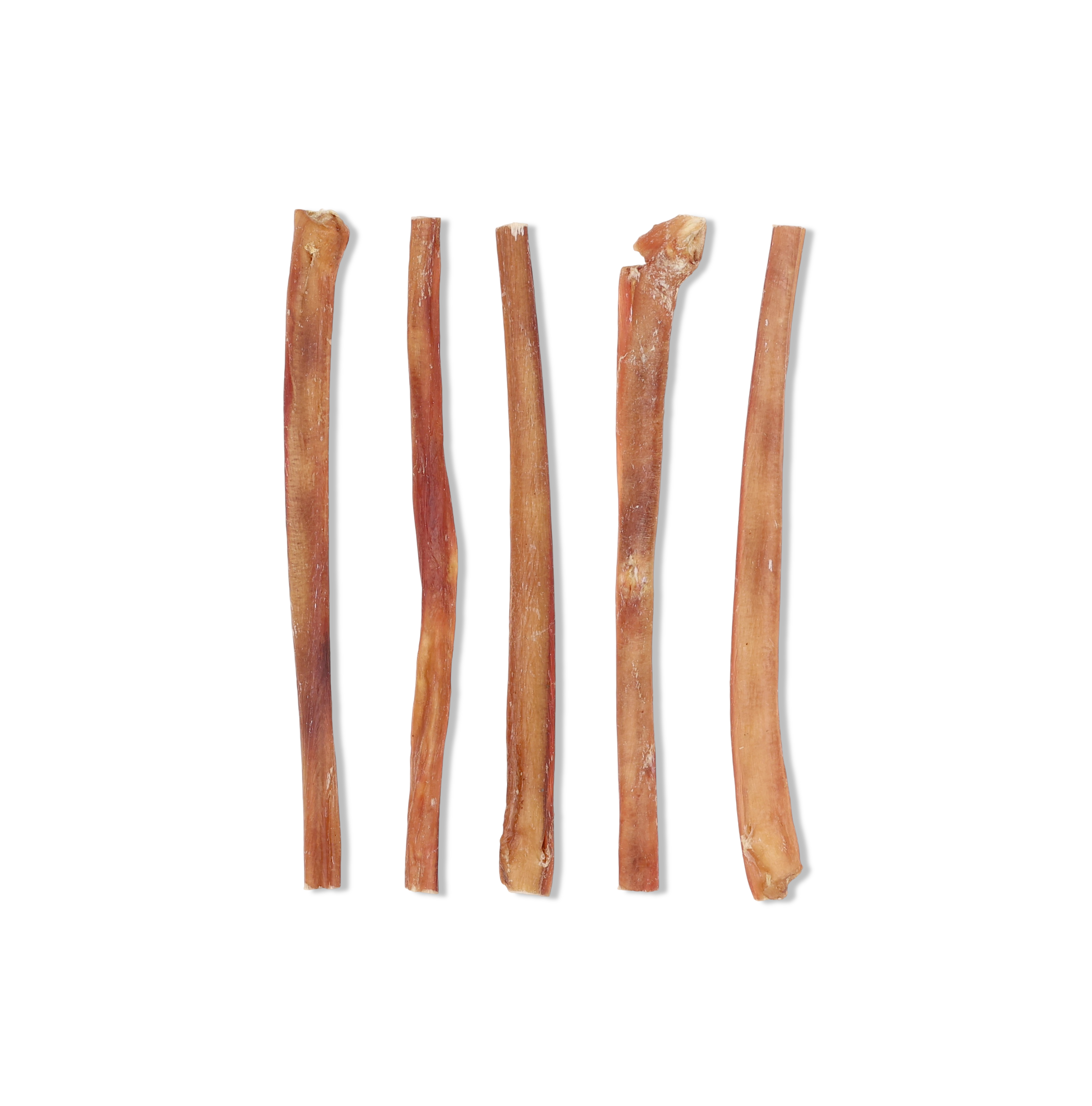 Long-lasting 12 inch bully stick for healthy chewing