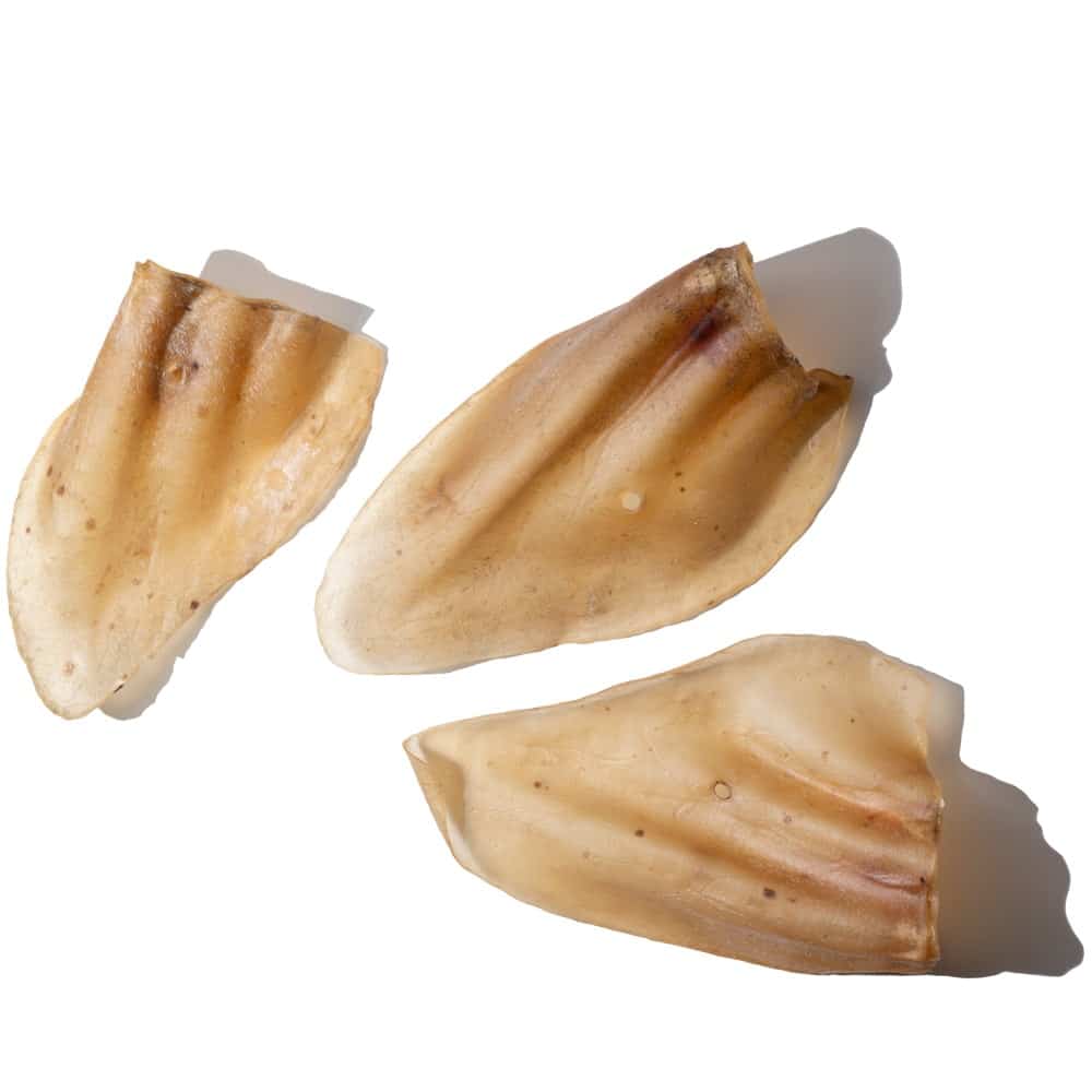 Cow Ears.  Chews for dogs
