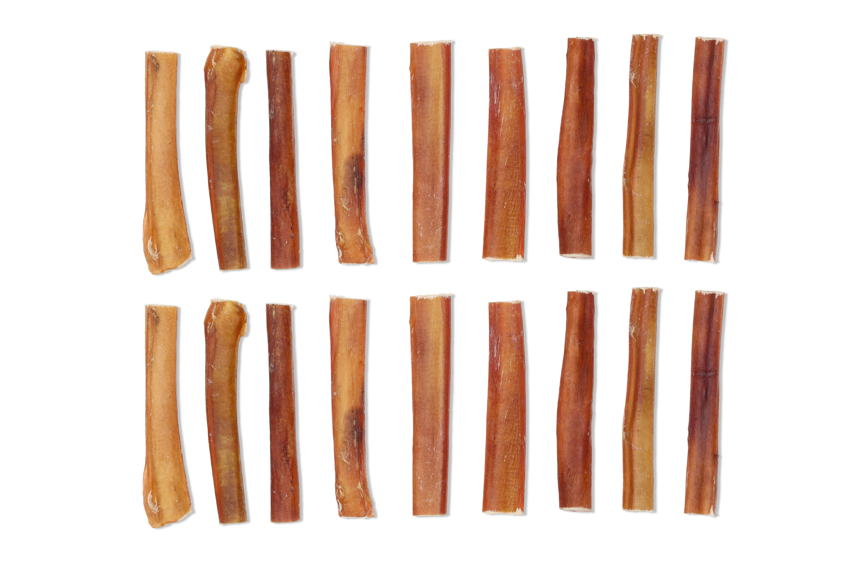 Long-lasting chew for dogs, 6 inch Jumbo Bully Stick, Made in USA