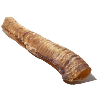 Beef Trachea 12-inch - Delightful Chews